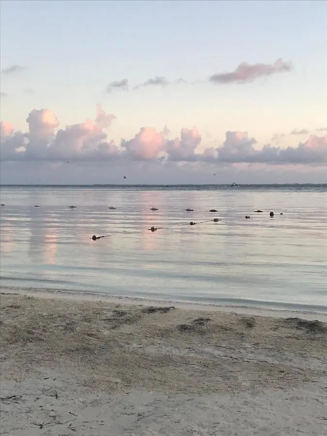 Front Beach Private Room With Shared Bathroom Cancún Appartamento