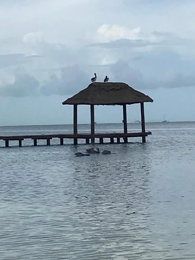 Front Beach Private Room With Shared Bathroom كانكون المكسيك