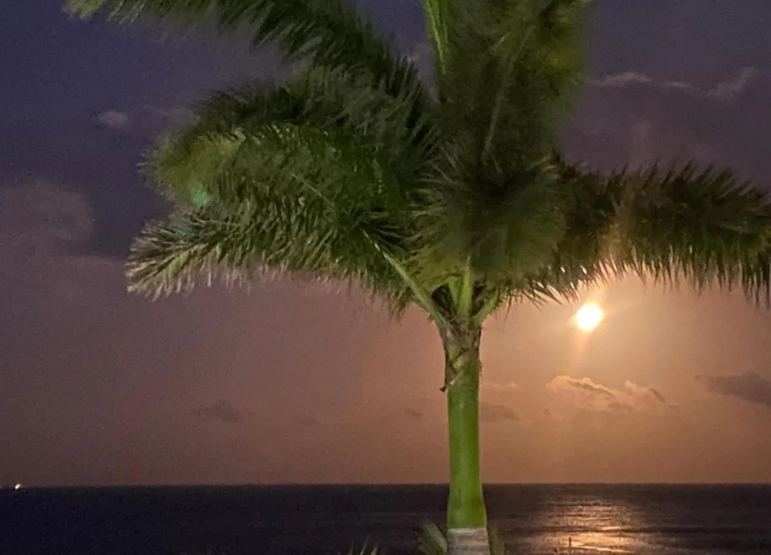 Front Beach Private Room With Shared Bathroom Cancún Apartamento